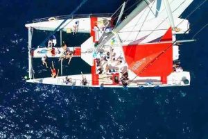 excursiones en catamarán en tenerife
