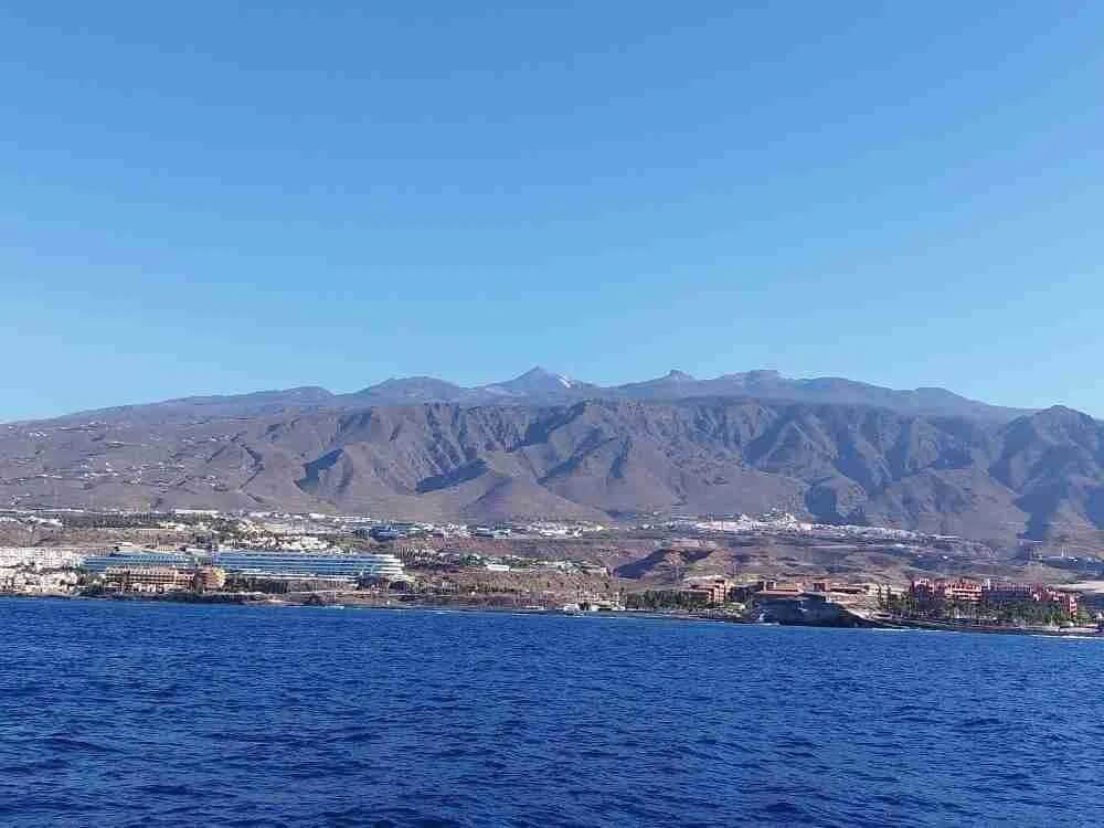 Catamaran Excursions in Tenerife