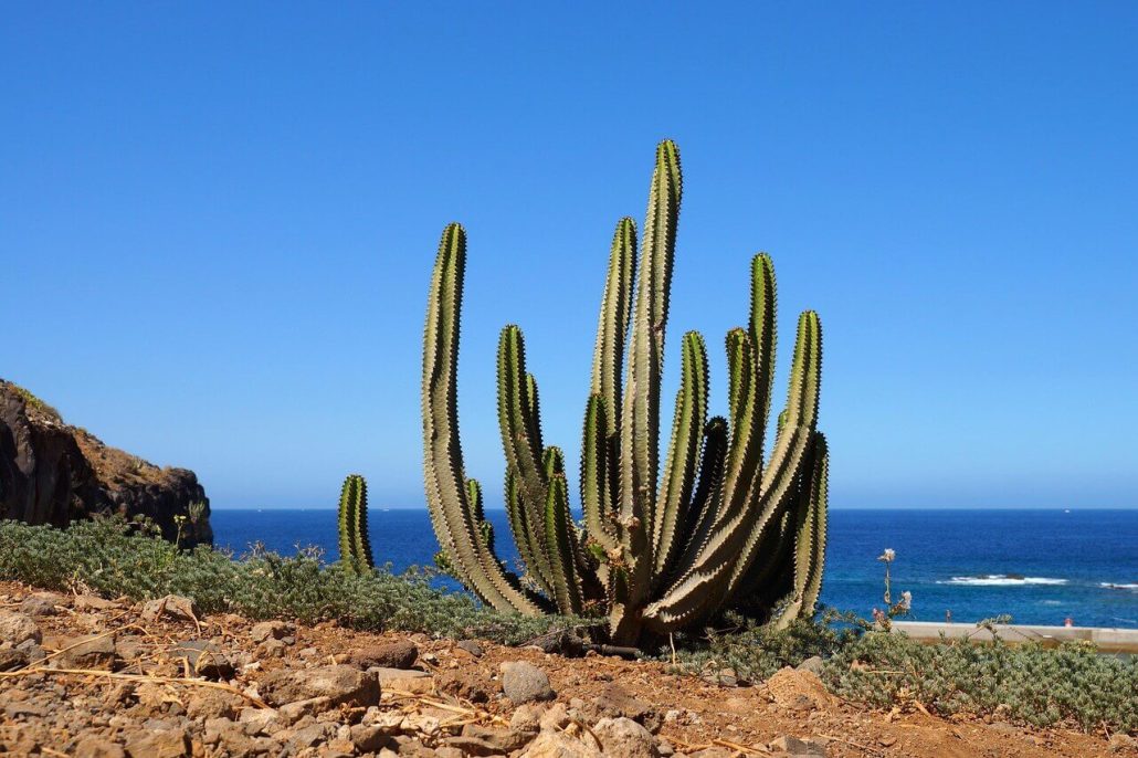 tenerife en el cine 3