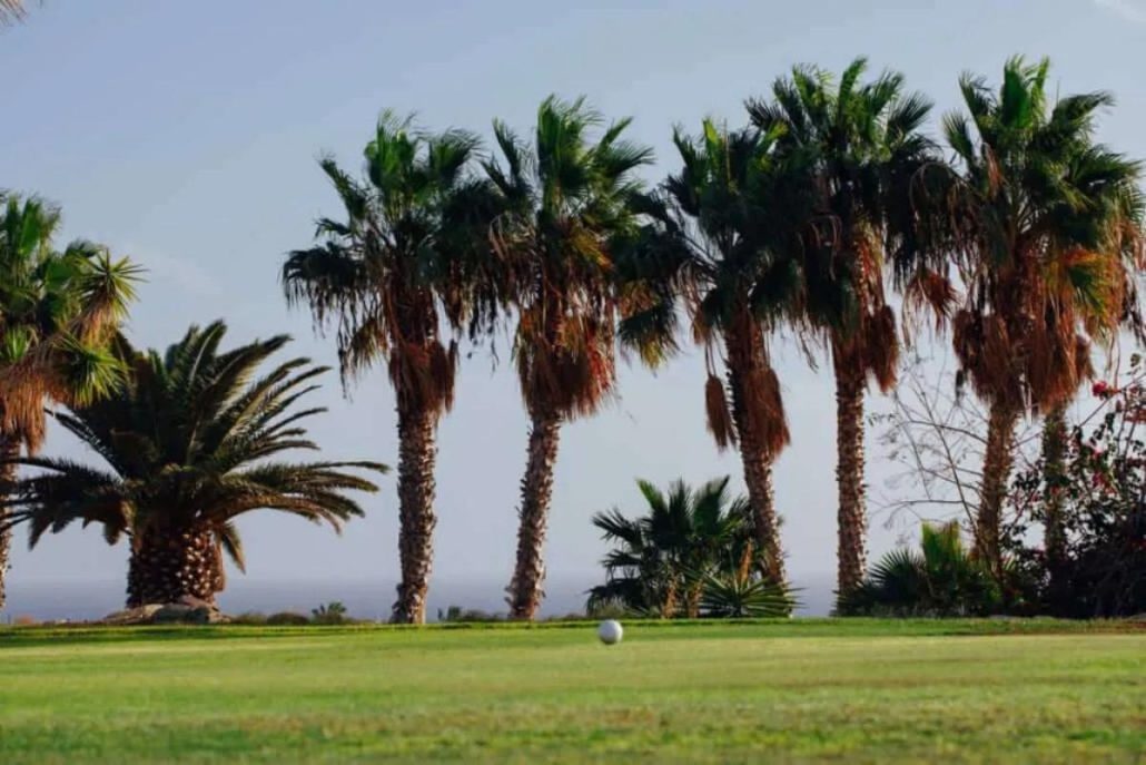 Golf Courses in Tenerife
