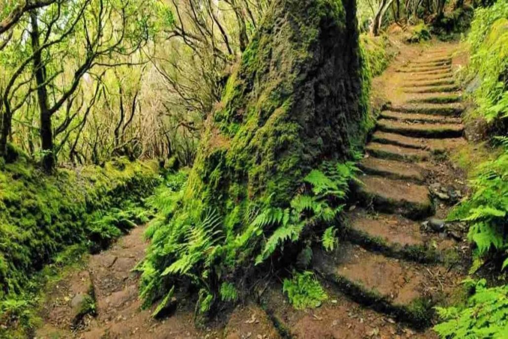 Activities in Tenerife