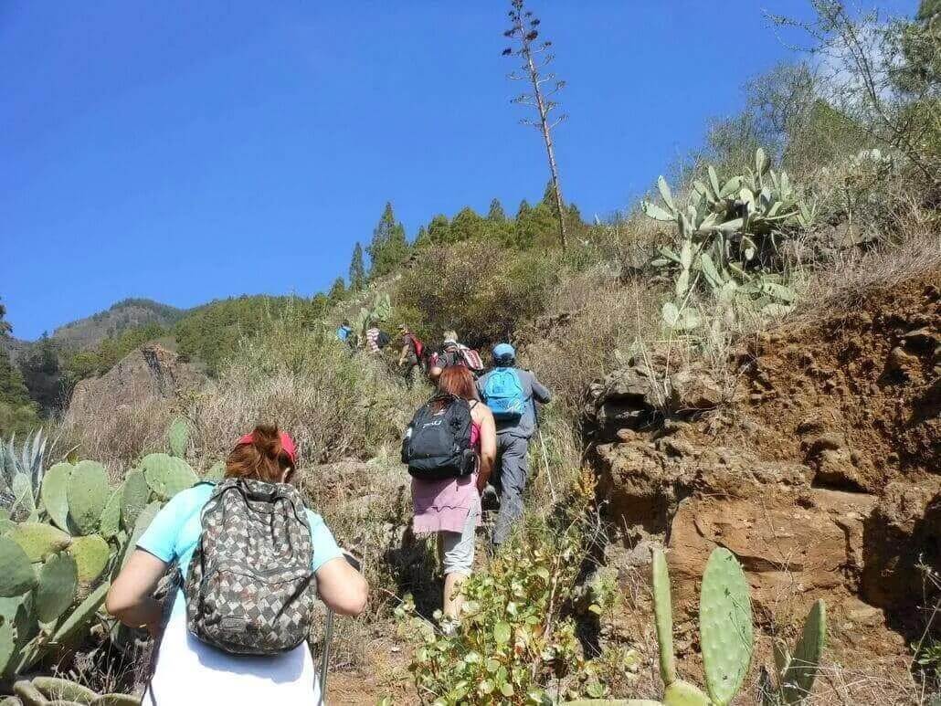 Barranco de Añavingo tenerife 2