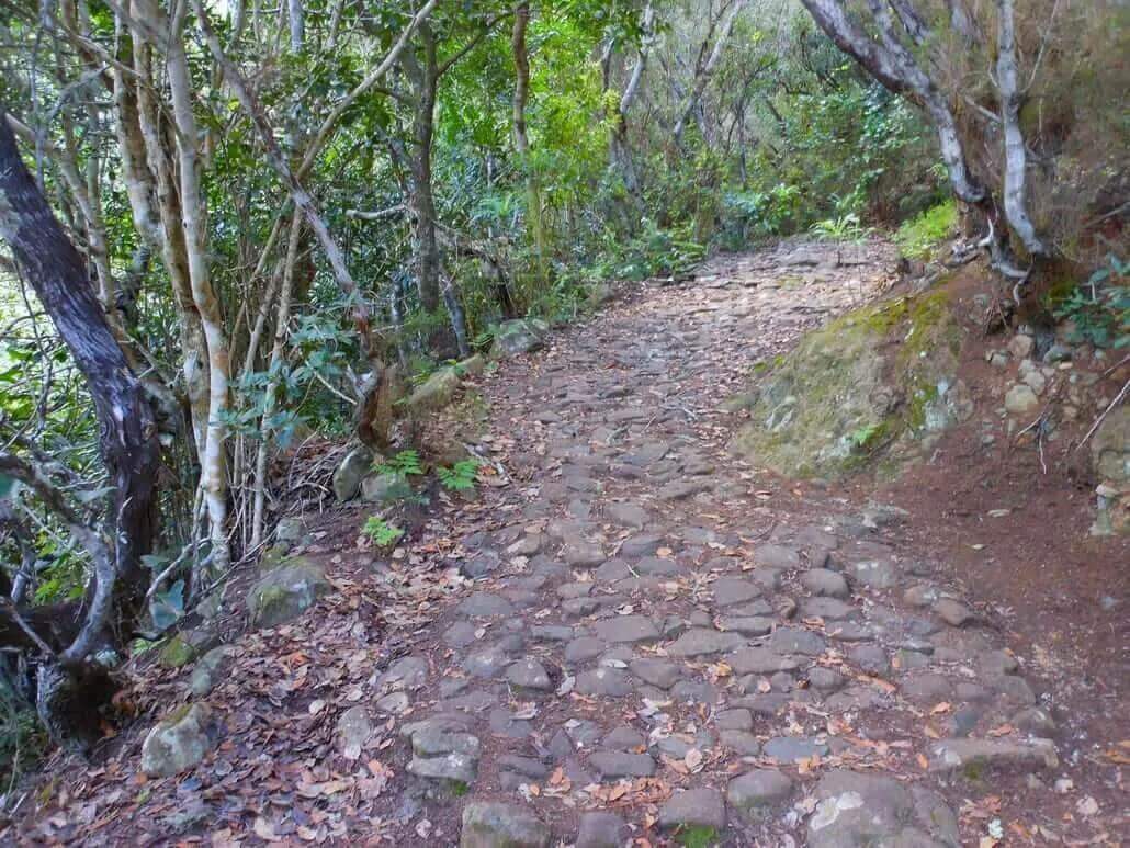 Camino Real de Las Vueltas 3
