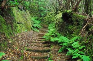 Camino Real de Las Vueltas, Tenerife