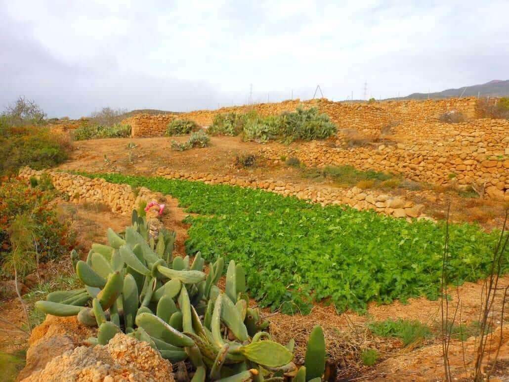 Route of the Three Aricos