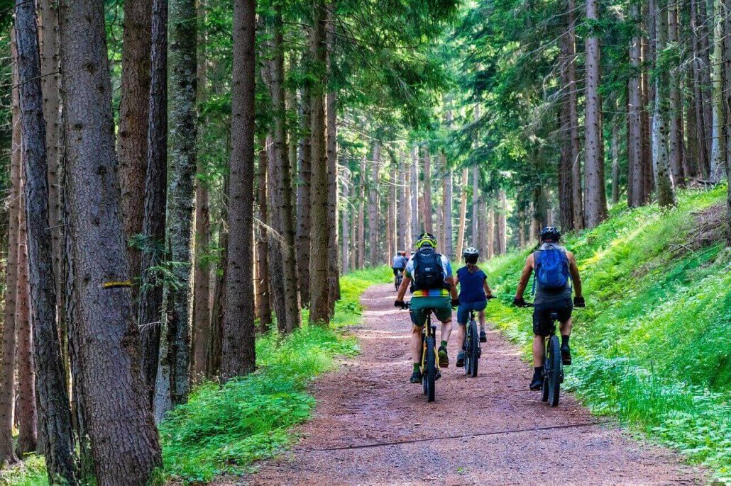 Mountain biking in Tenerife