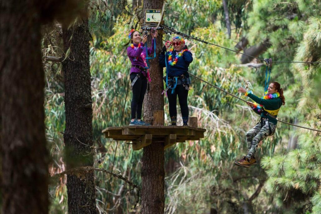 Forestal Park in Tenerife