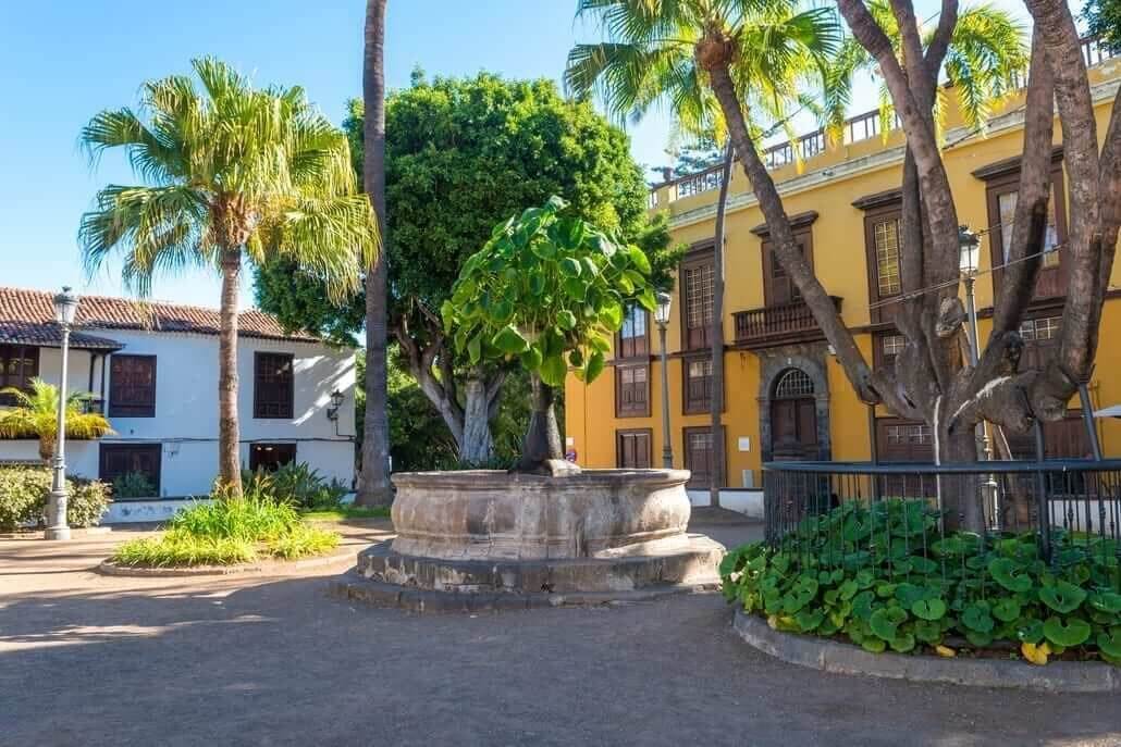 drago tenerife icod de los vinos