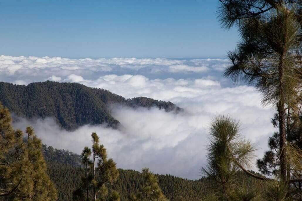 el tiempo y los microclimas de tenerife