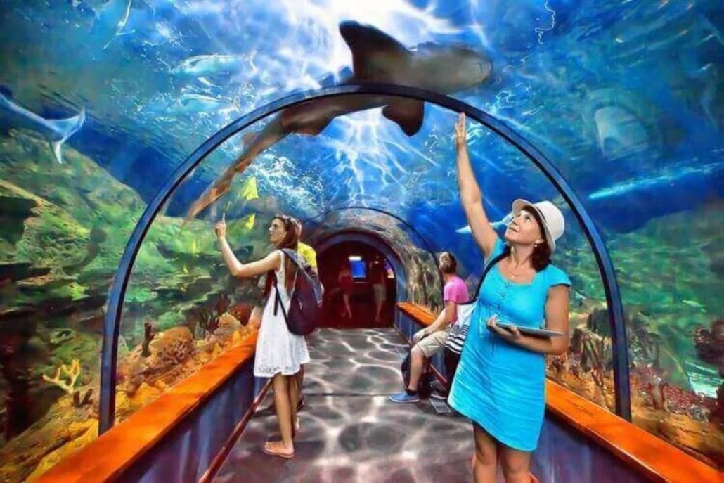 entrada loro parque