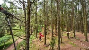 forestal park en tenerife