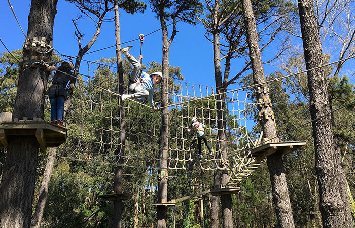 forestal park