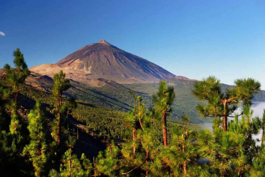 que hacer en tenerife