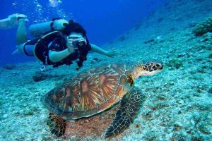 tenerife submarina tenerifepass