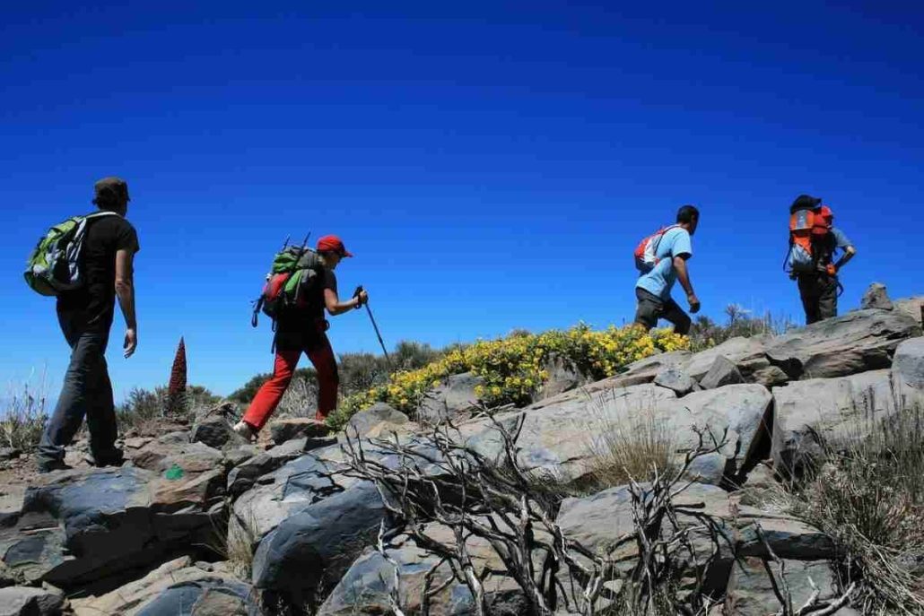 trekking por los montes de tenerife