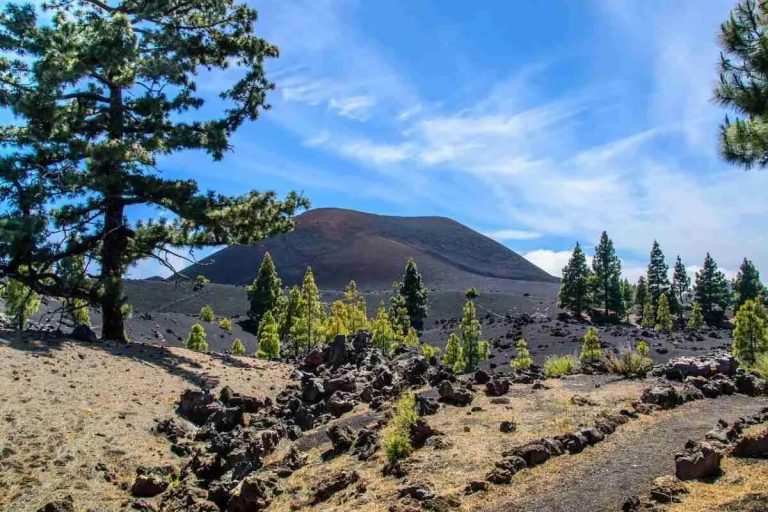 turismo sostenible en tenerife 2