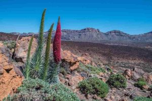 turismo sostenible en tenerife