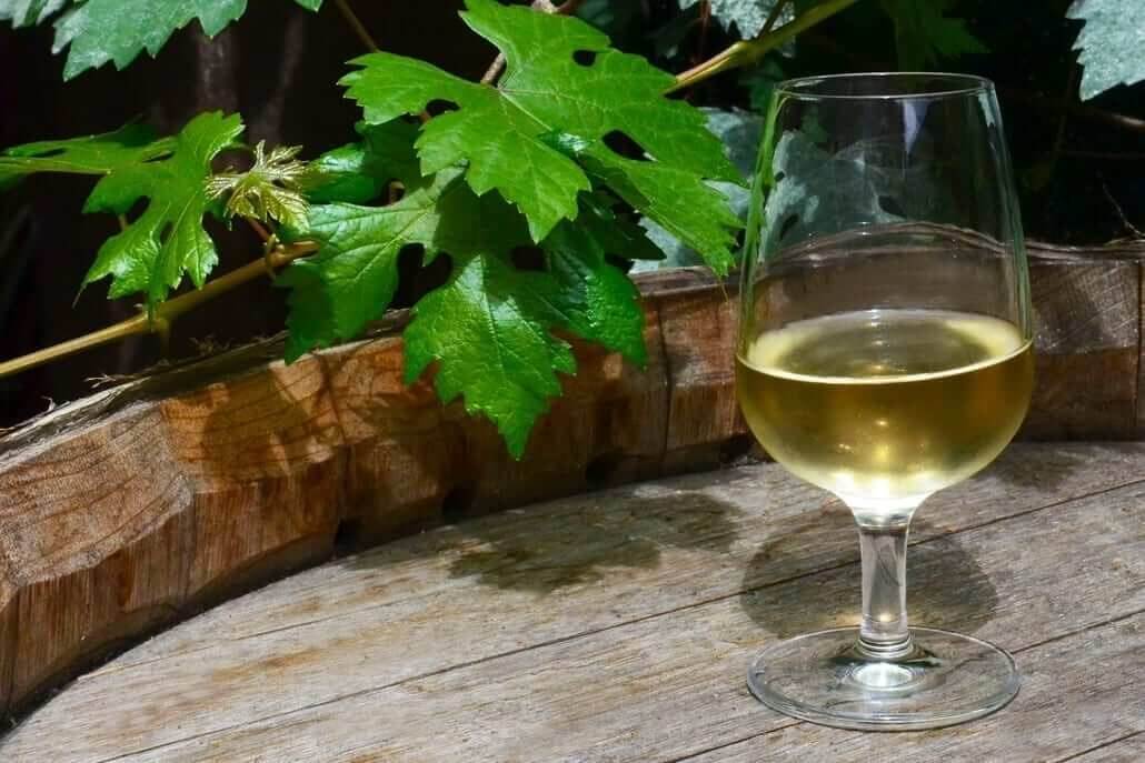 vino tenerife