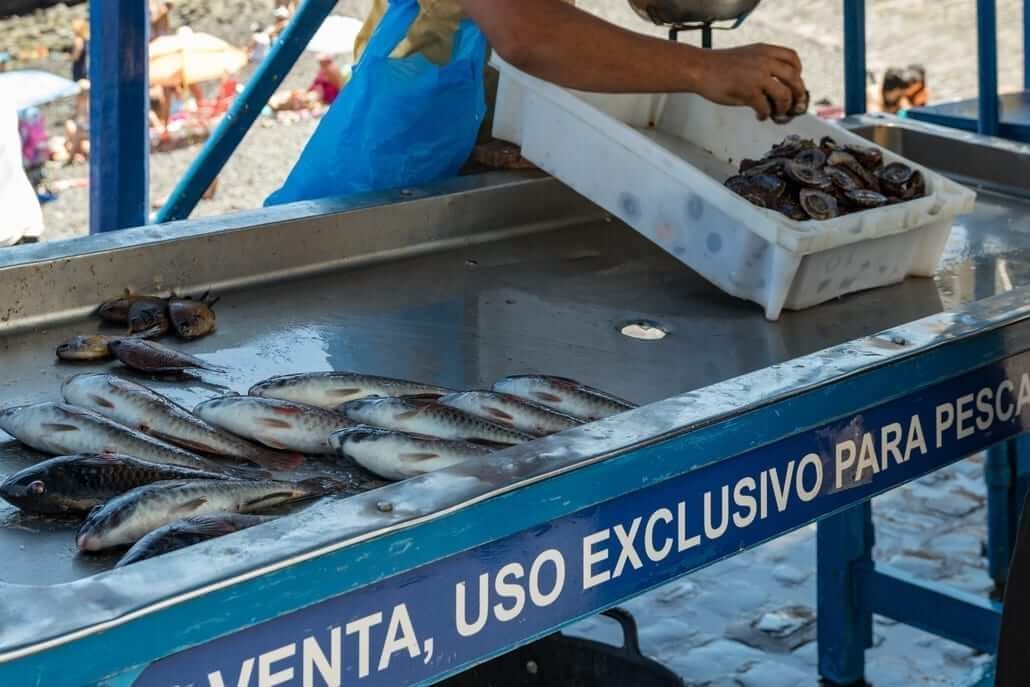 4 venta de pescado en el puerto de la cruz