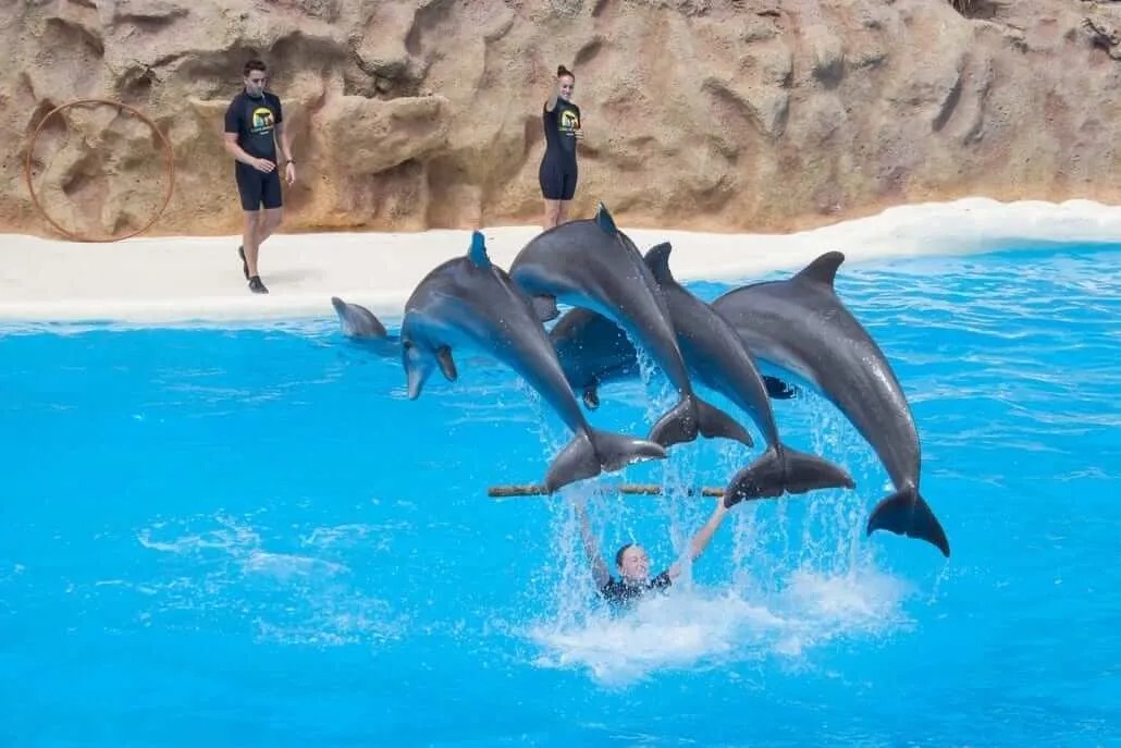 Attractions in Tenerife