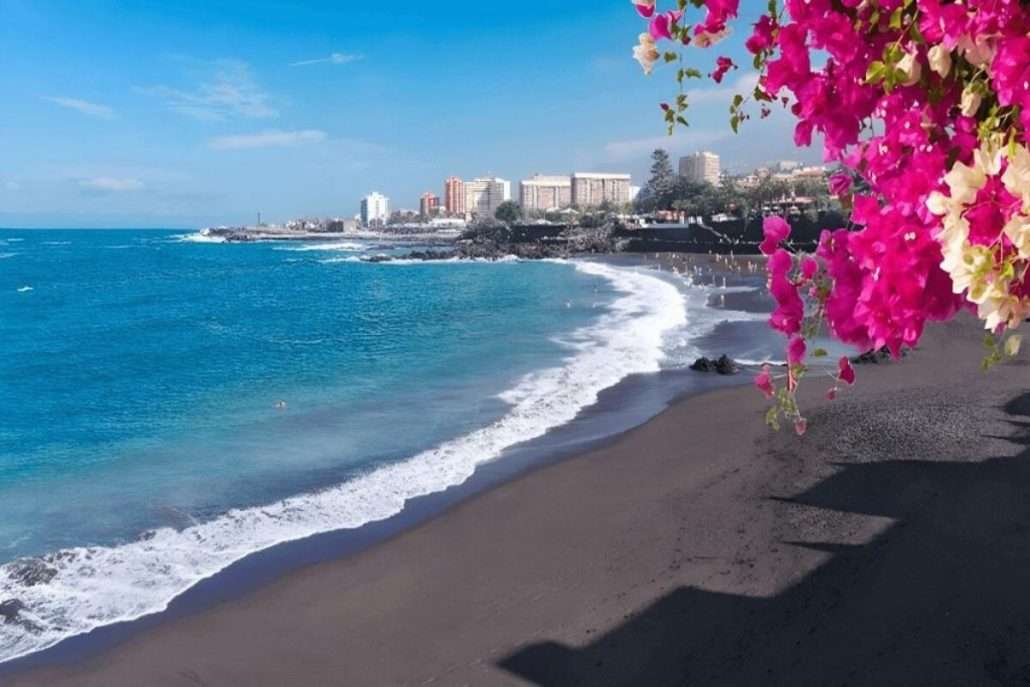 palaya jardin tenerife