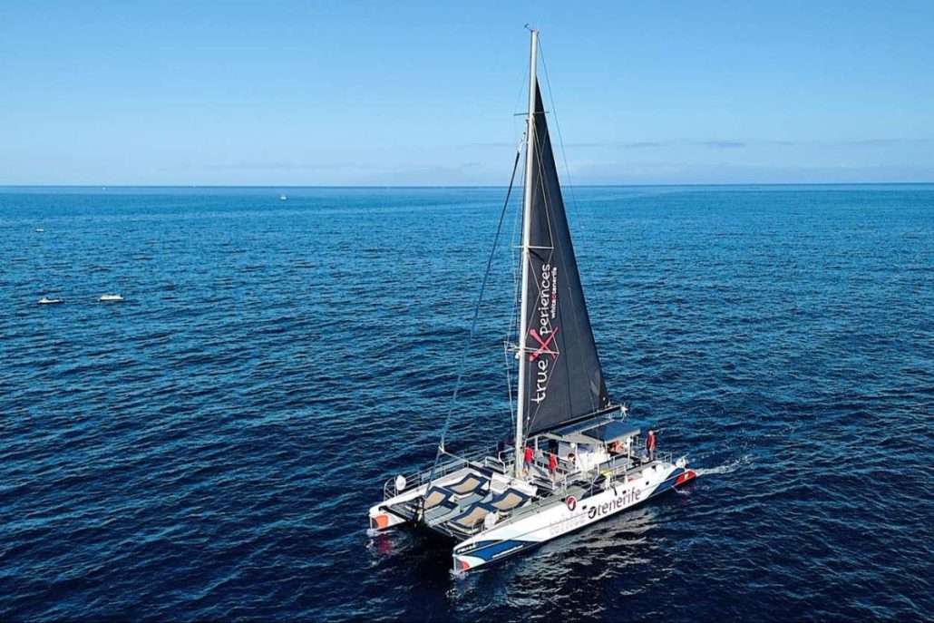 Navegando por la Costa de Tenerife 3
