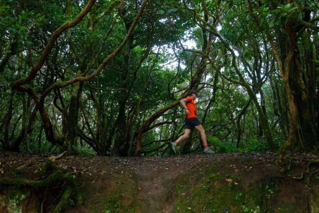 Trail Running en Tenerife