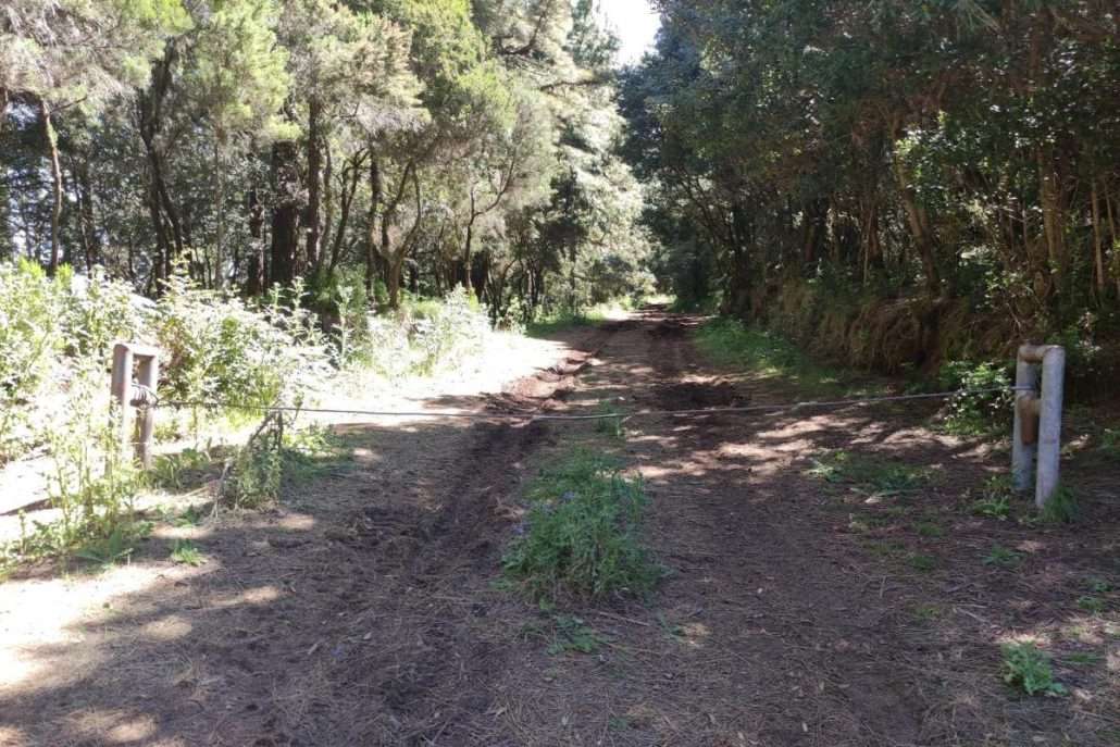 monte de la esperanza 1