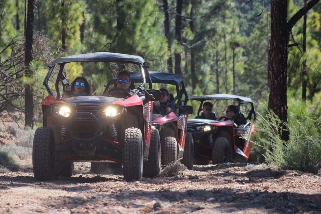 Aventuras en Buggy en Tenerife 4