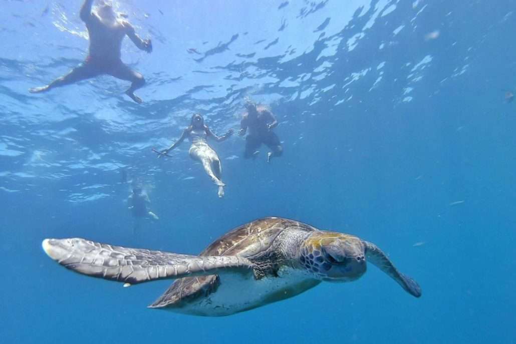 Cómo Hacer Fotos Acuáticas en Tenerife 3