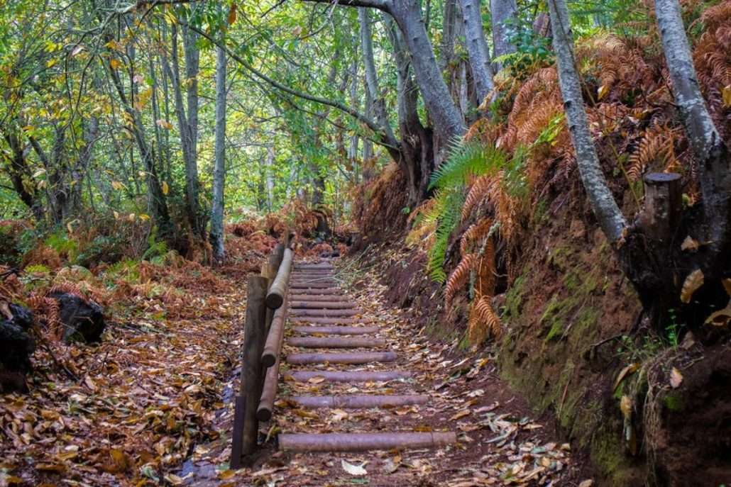 Tenerife en Otoño