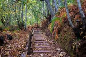 Tenerife en Otoño