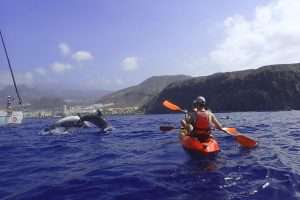 Spas de Tenerife