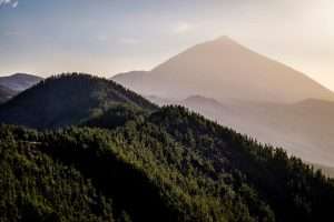 Bosques Más bonitos de Tenerife