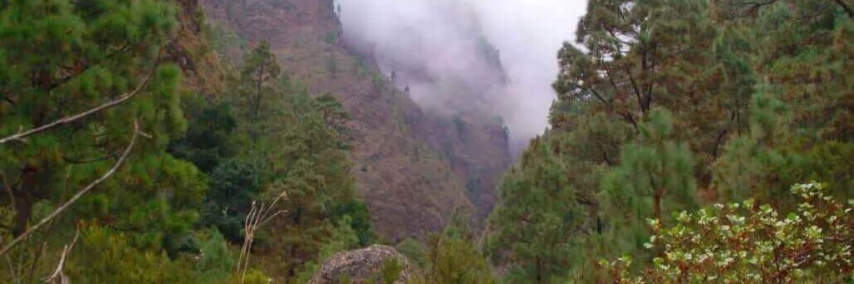 Barranco de Añavingo tenerife pass inicio del pateo
