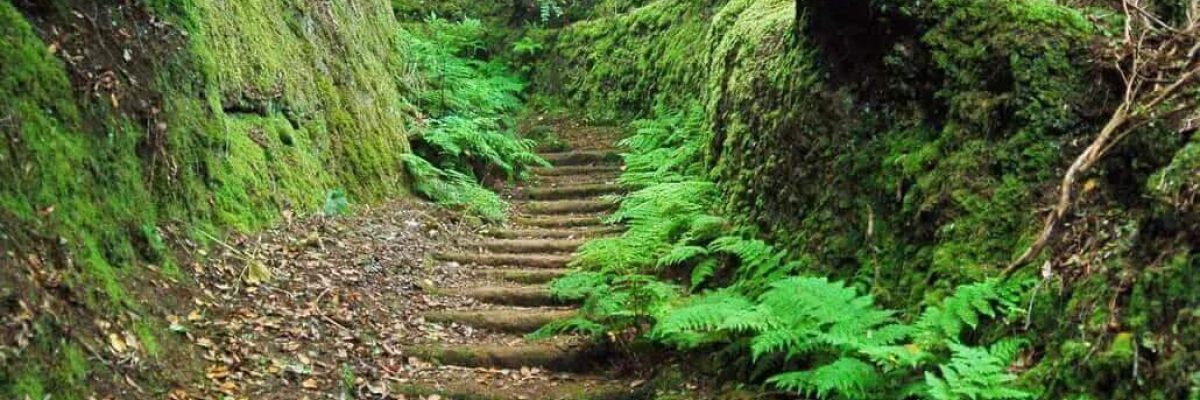 Camino Real de Las Vueltas, Tenerife