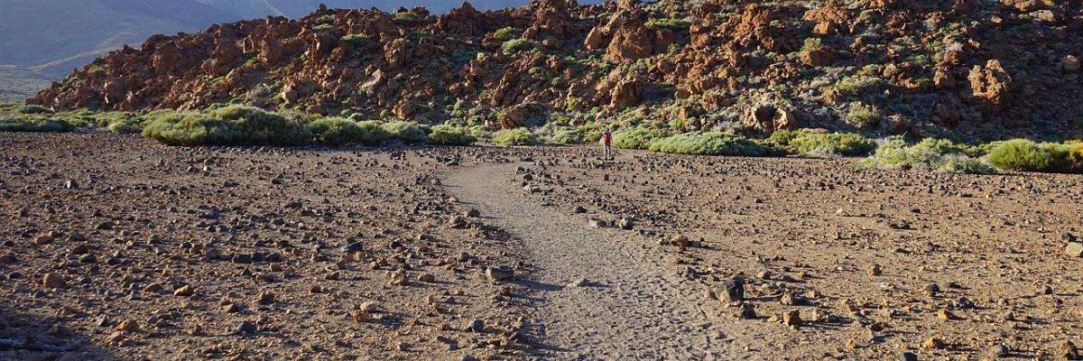 Experiencias únicas en Tenerife