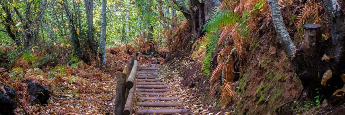 Tenerife en Otoño