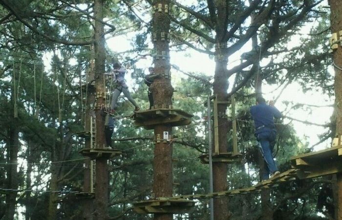 diversion asegurada en forestal park tenerife