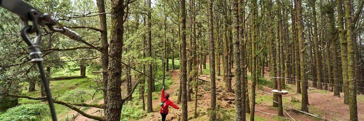 forestal park en tenerife