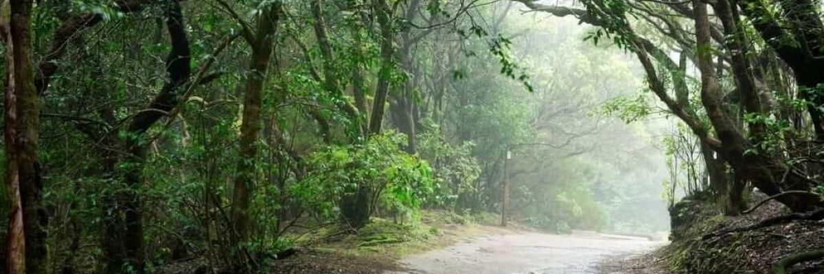 montes y tiempo y clima en costa adeje tenerife