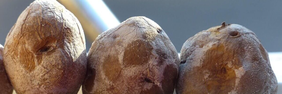 papas arrugadas comida de tenerife