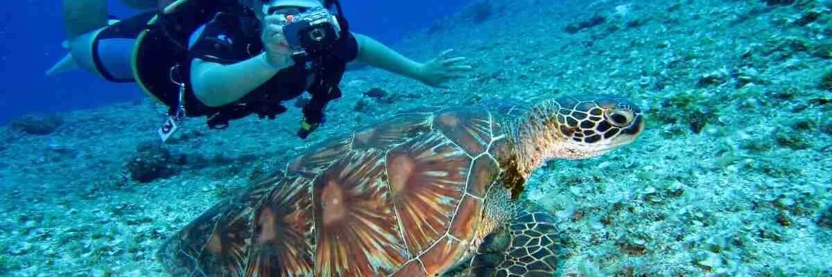 tenerife submarina tenerifepass
